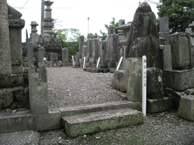 IMGP4039.gif