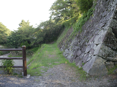 IMGP4101.gif