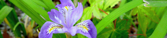 P1010935.gif